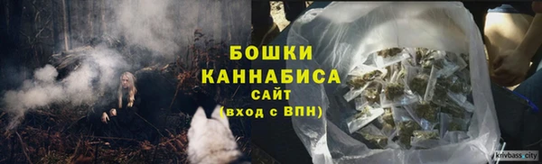 крисы Армянск