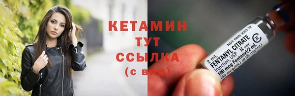 крисы Армянск