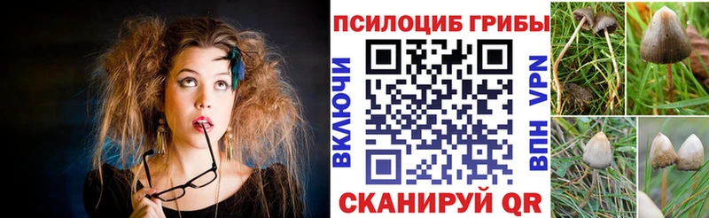 продажа наркотиков МЕГА ТОР Галлюциногенные грибы ЛСД Пошехонье