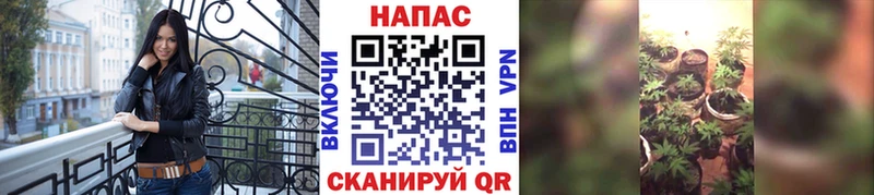наркотики  Пошехонье  ссылка на мегу сайт  Шишки марихуана OG Kush 